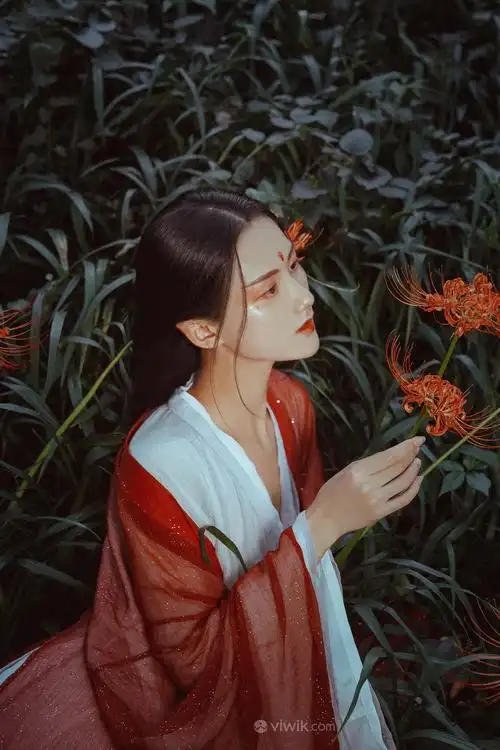 拿着彼岸花的绝世容颜古装美女图片
