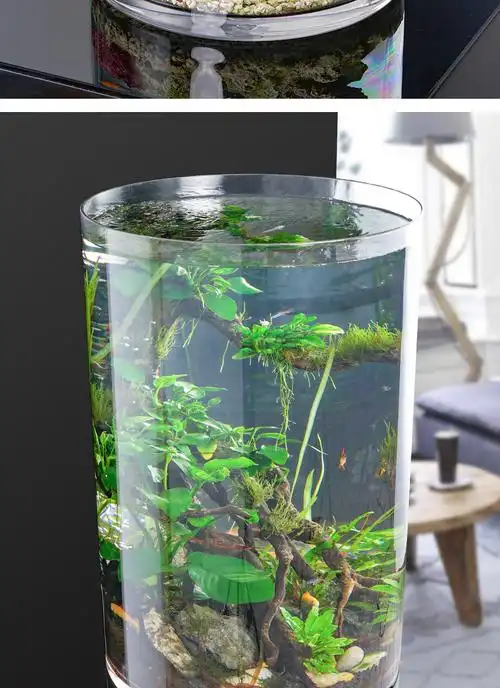 防摔鱼缸圆柱形鱼缸仿玻璃亚克力小型耐摔生态树脂桌面防摔塑料大裸缸