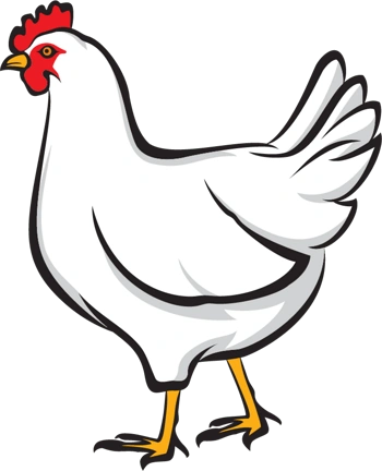 矢量手绘老母鸡