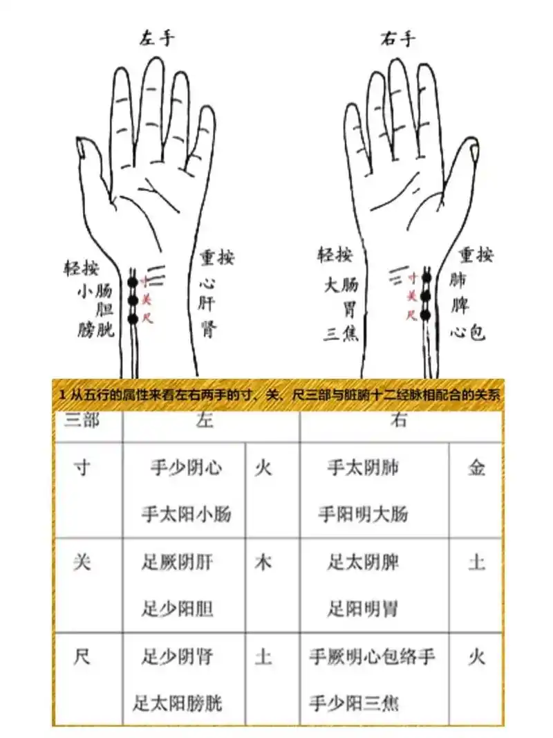 中医切脉有多神奇,寸关尺怎么分? 71如何把脉?