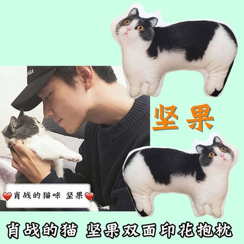 肖战同款坚果猫咪抱枕玩偶公仔毛绒3d仿真猫咪印花抱枕靠垫礼品