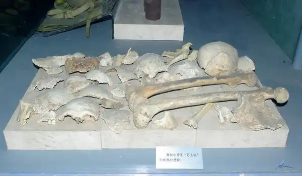 海拉尔万人坑中的白骨.