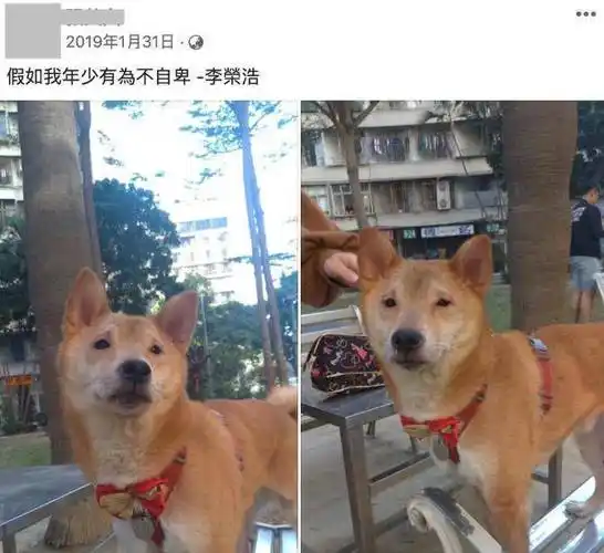 原创李荣浩童年照曝光呆萌浑圆大眼网友你的眼睛经历了啥