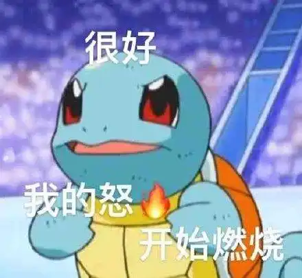很好我的怒开始燃烧(杰尼龟表情包)_燃烧_杰尼龟表情