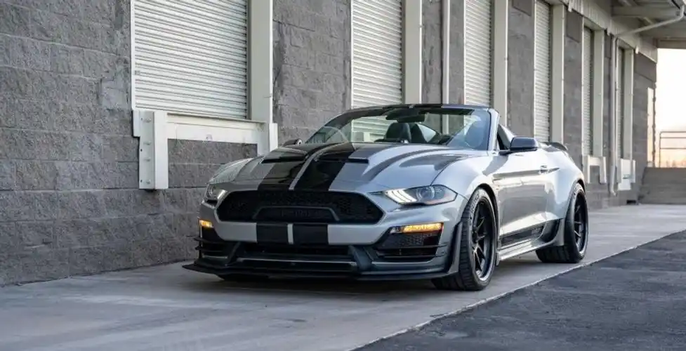 号称地狱猫杀手,新野马蝰蛇曝光,毒蛇外形,3.5秒破百