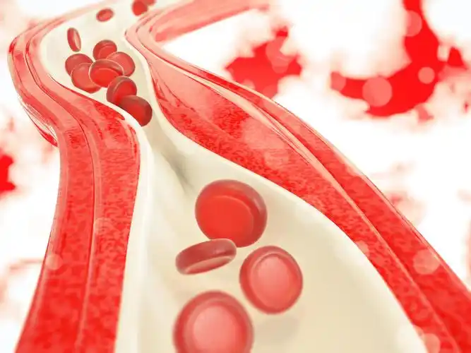 红细胞在血管中穿行