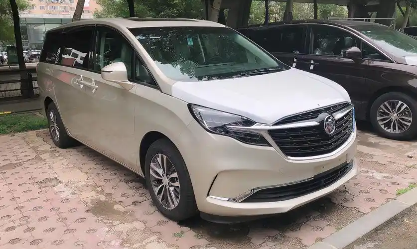 男子购买2020款别克gl8,行驶800公里,表示:没看错它!-新浪汽车