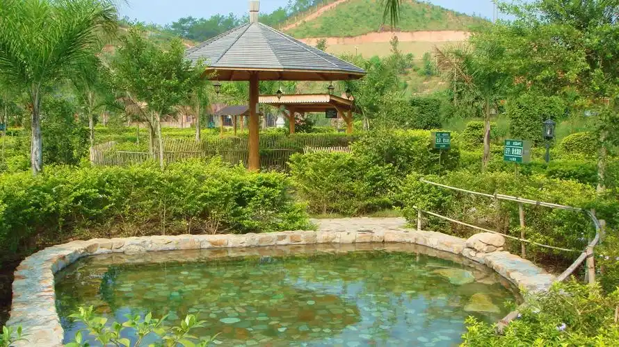 河源客天下国际大酒店 恐龙水世界 客天下水晶温泉 自助早餐