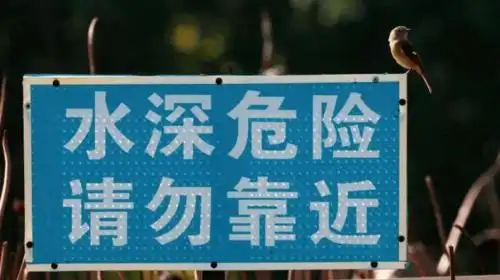 进入"深水区",泳姿要优雅~_信息化