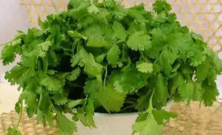 海尚捞欢乐火锅