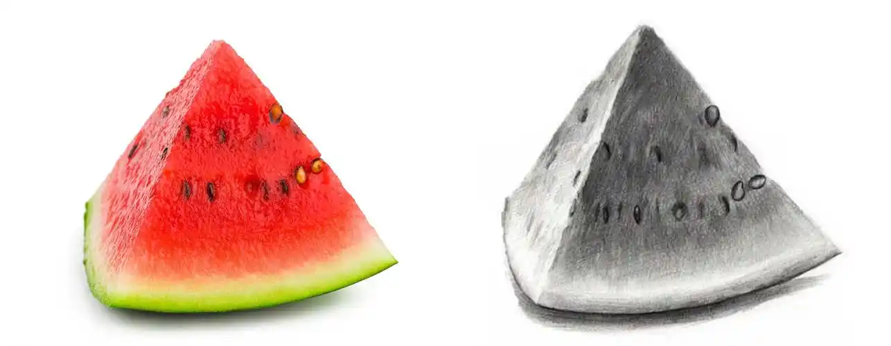 素描第二课吃瓜群众