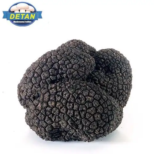 detan black truffle market prices for mushroom