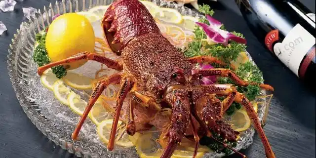 墨尔本美食-澳洲龙虾(澳龙)