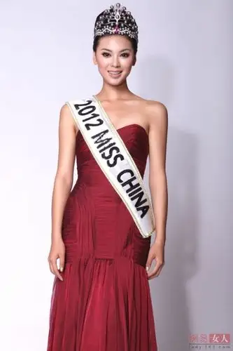 中国小姐夺2012世界小姐冠军