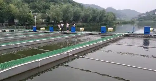 国家特色淡水鱼体系贵阳站专家到息烽部分养殖场调研和技术指导