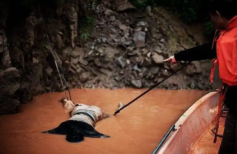 捞尸人讲述行业禁忌不是每种尸体都捞最怕遇到红衣花季少女还有一种