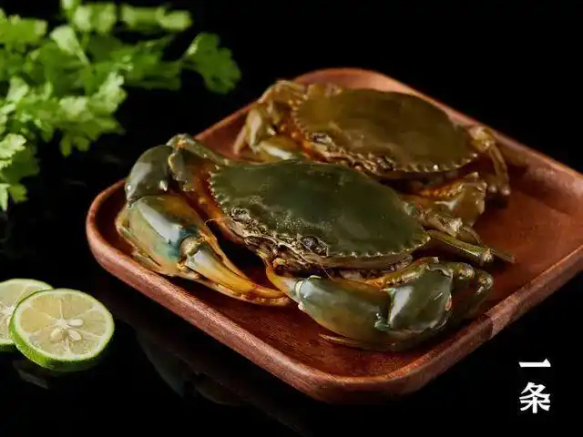 来自浙江台州的三门青蟹个大鲜活壳薄肉嫩清蒸爆炒都好吃