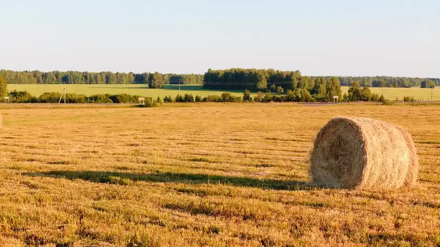 金色麦田唯美好看的秋天风景电脑桌面壁纸