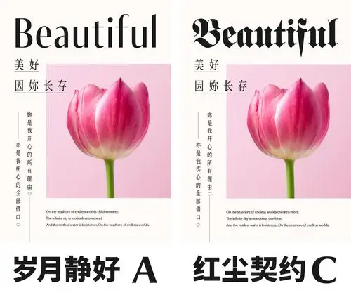 排版《玉女心经》之字我感受(中篇)