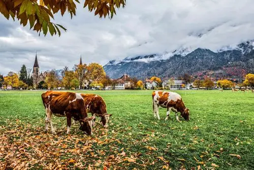 景色旎丽的乡村田园风光