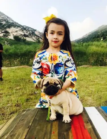 惊为天人小手牵小狗中德混血苏菲实力圈粉