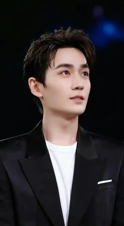 内娱男艺人颜值排名林更新18许凯15成毅第9刘学义第2谁能登顶