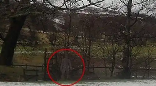 科学家征集"鬼"片