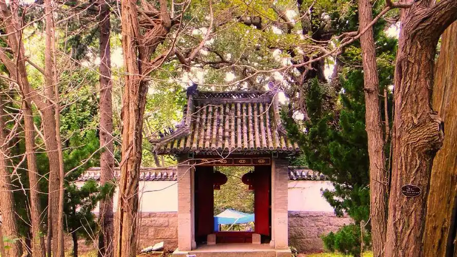 崂山上清宫景观