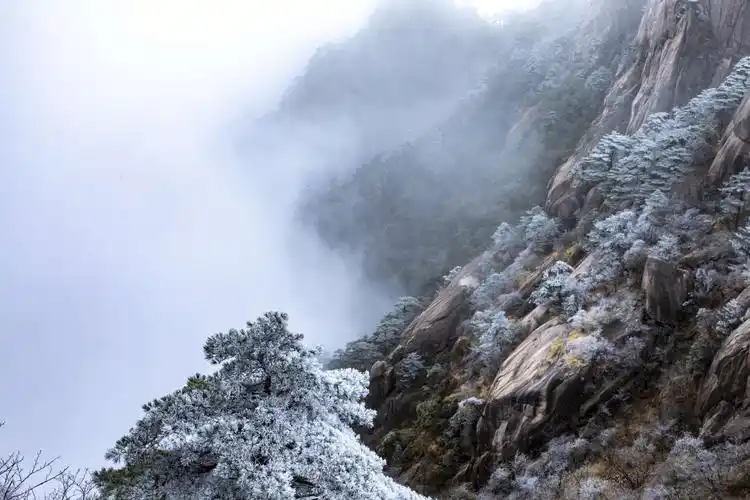 黄山雾凇