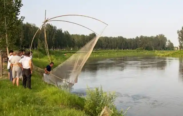 搬网捕鱼乐趣多多.捕鱼的聚精会神,观看的兴致勃勃.