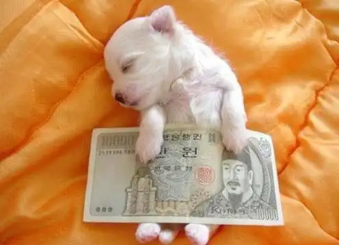 中美洲毛毛虫拥有神奇伪装术将腿缩进身体变成蛇