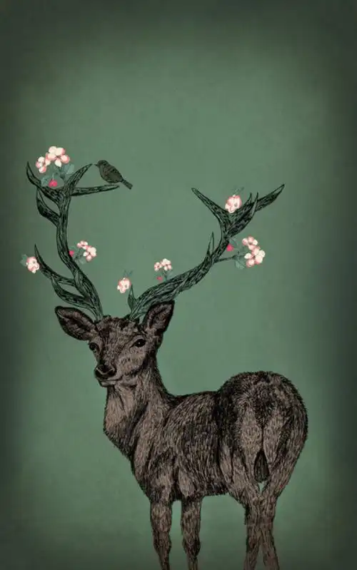 分享:     发布到 森林麋鹿 发表评论. 评论取消