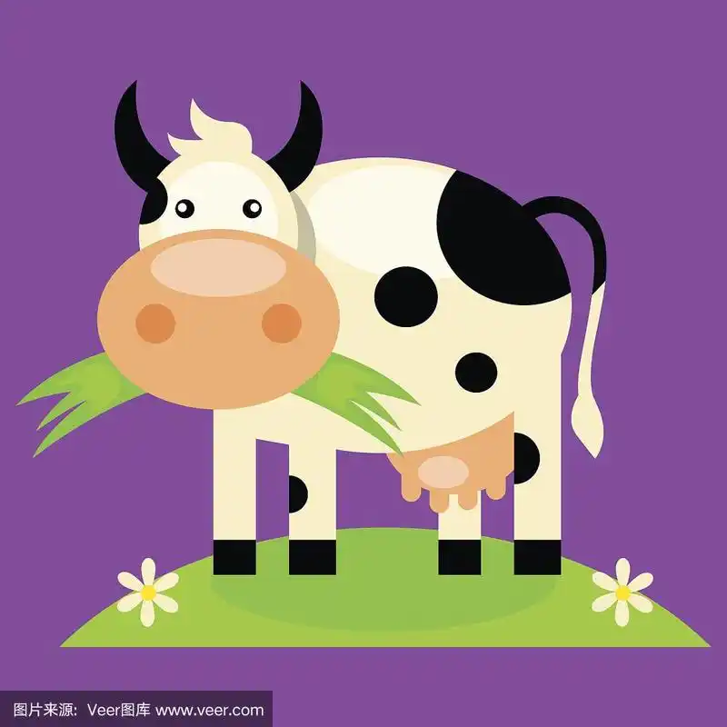 可爱的小牛卡通