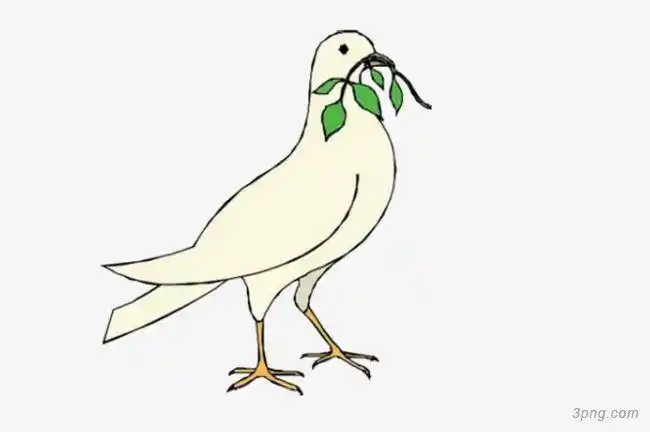 白色的小鸽子png素材透明免抠图片卡通手绘