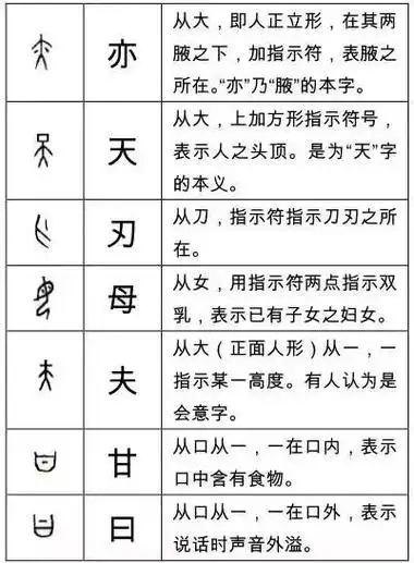指事字有哪些(27个常见指事字)  第11张