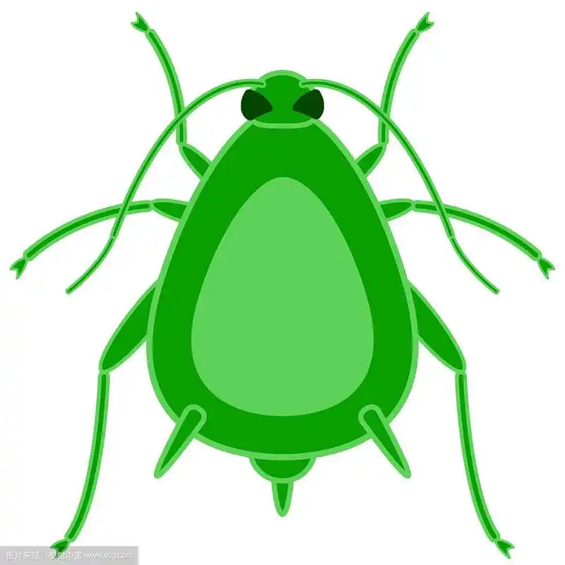 蚜虫的昆虫图标