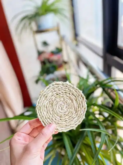 废物利用- 玉米叶子做的茶杯垫