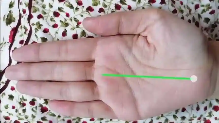 手相中的通天纹让你事业上更易取得成功