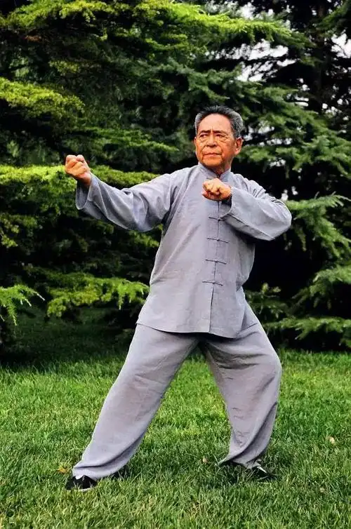 以天下之至柔,驰骋天下之至刚. 冯志强"混元炮捶",尽显恢宏