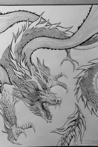 8开黑水笔手绘龙