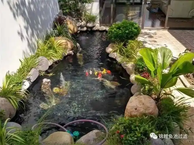 庭院鱼池这样设计实在太美了
