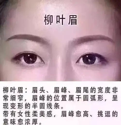 好的眉毛伴随着好的运气