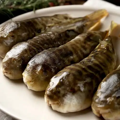 河豚鱼食用已处理10条装小巴鱼养殖淡水鱼生鲜冰鲜速冻鱼非野生鱼