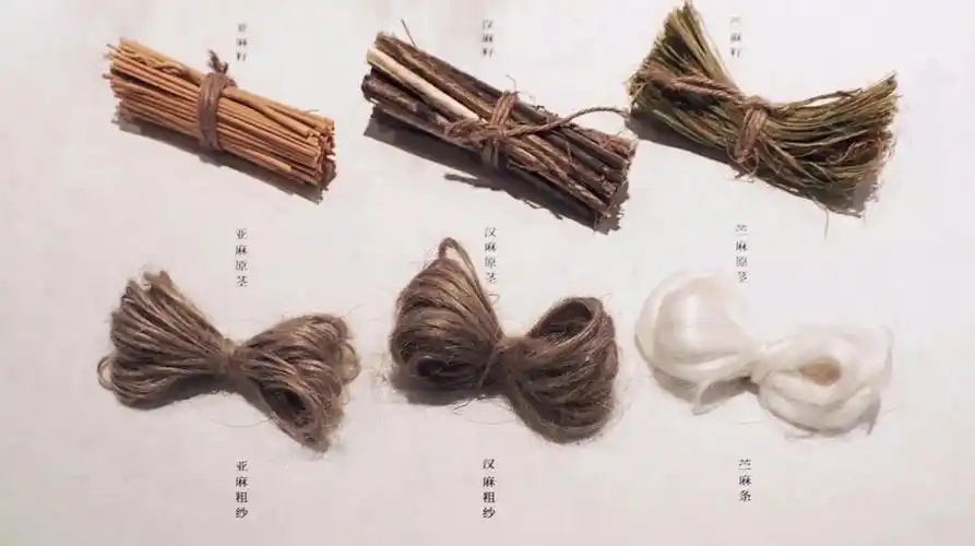 且迟麻科普常见的麻面料及鉴定