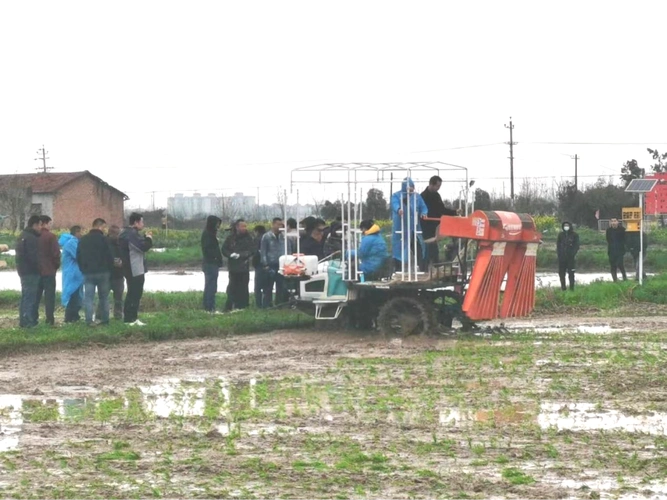 君山区举办早稻机插秧演示会助力农民增收