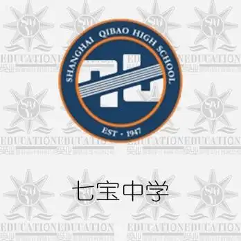 校服上海七宝中学夏季短袖连帽学校学生校服
