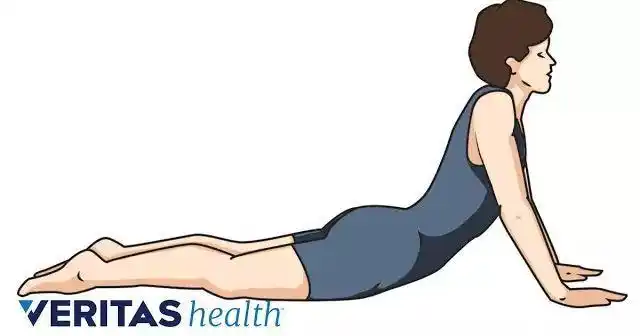 那些全网普及的腰部拉伸动作,全解析!