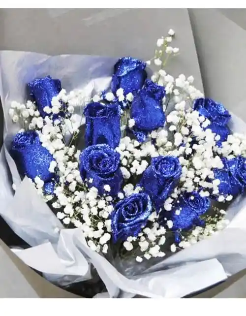 全国鲜花同城速递11支蓝色妖姬满天星花束长春北京鲜花速递同城