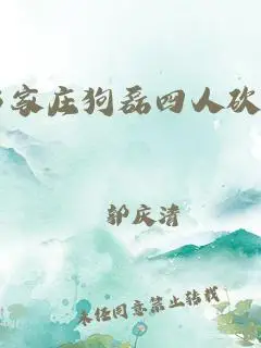 石家庄狗磊四人砍20人