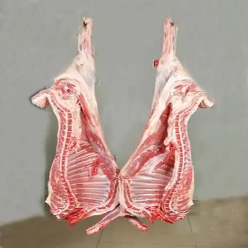 整只羊羔肉30斤包装生鲜真空新疆牧区羊清炖烧烤细嫩无膻味顺包邮